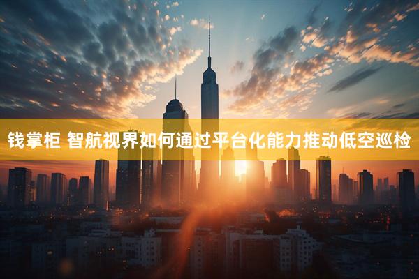 钱掌柜 智航视界如何通过平台化能力推动低空巡检
